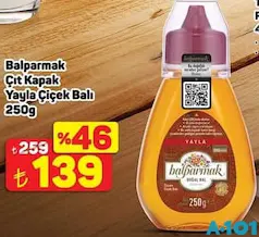 BALPARMAK ÇIT KAPAK YAYLA ÇİÇEK BALI 250 G